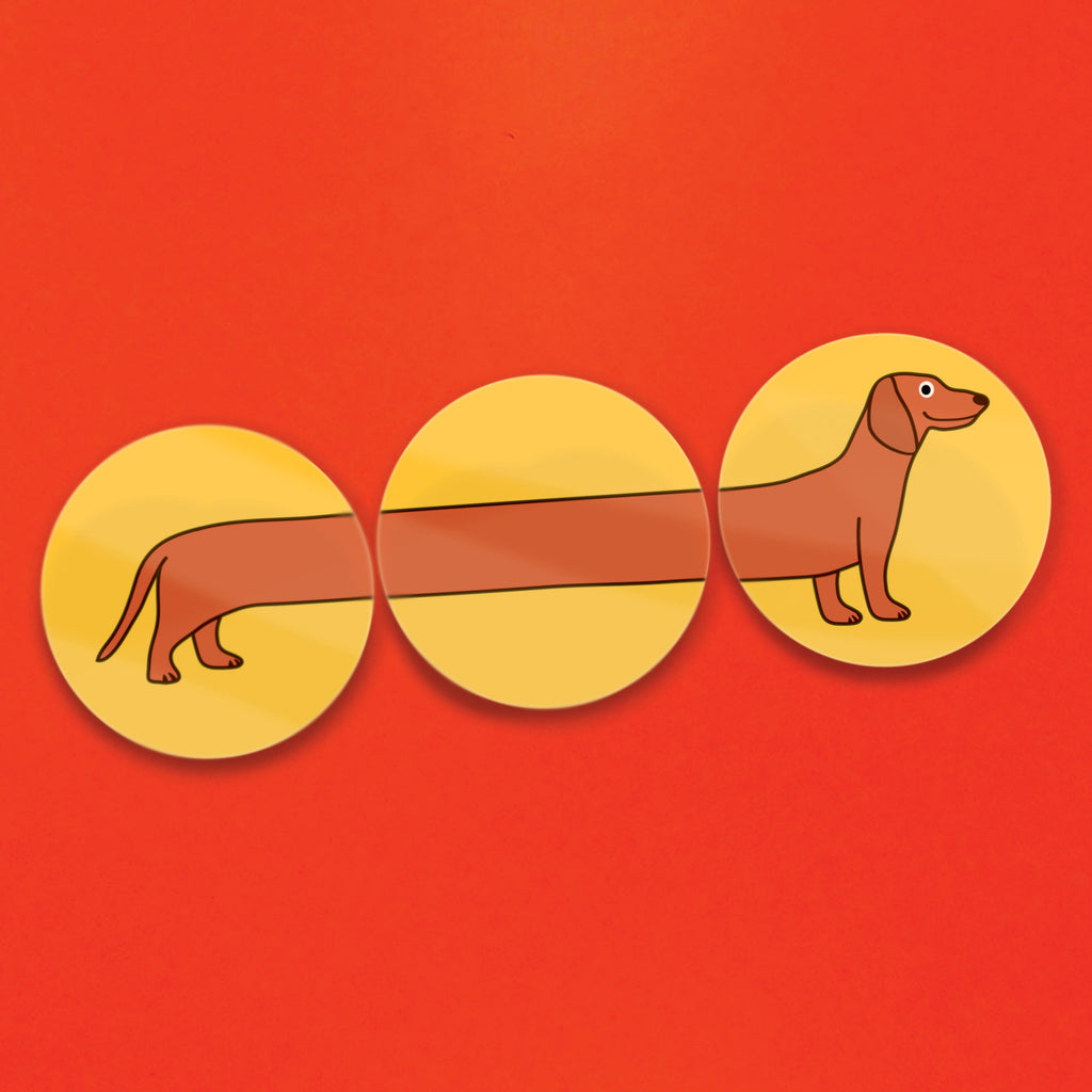 Sausage Dog Fun Fridge Magnets (Set of 3)