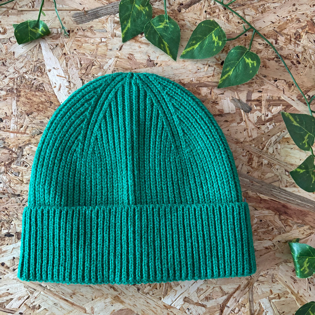 Kids Beanie Hat (FREE with a kids sweatshirt!)