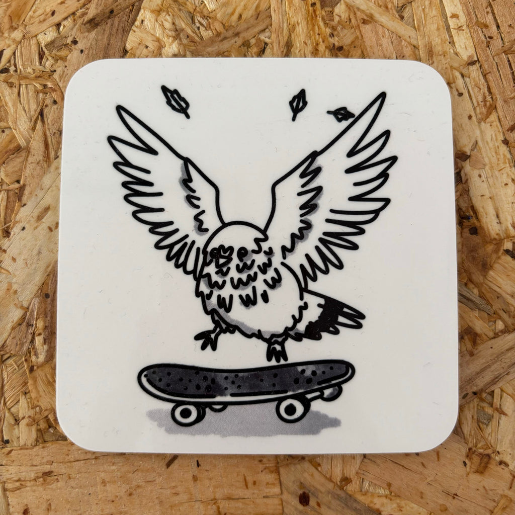 Skateboard Pigeon Coaster By Daze Made | hello DODO