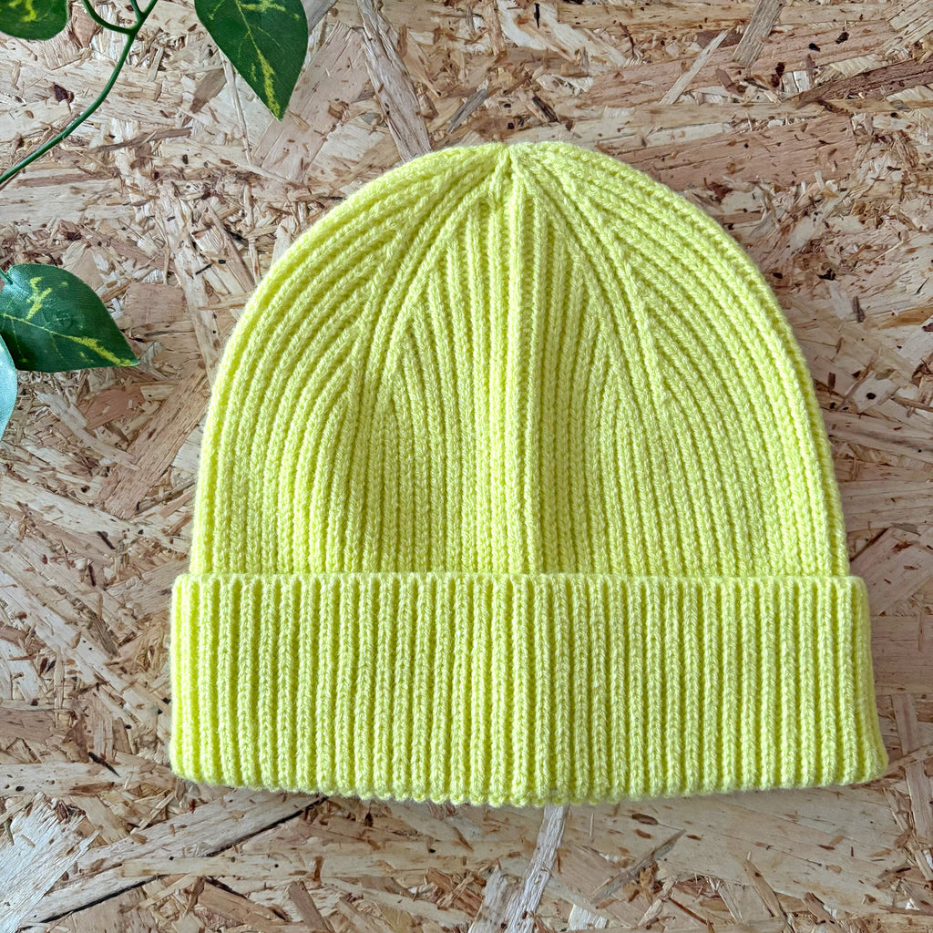Kids Beanie Hat (FREE with a kids sweatshirt!)