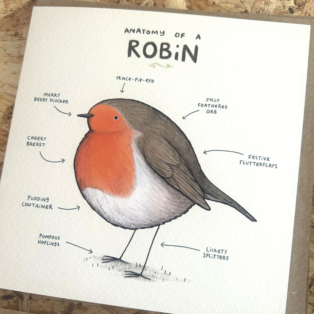 Anatomy Cards by Sophie Corrigan