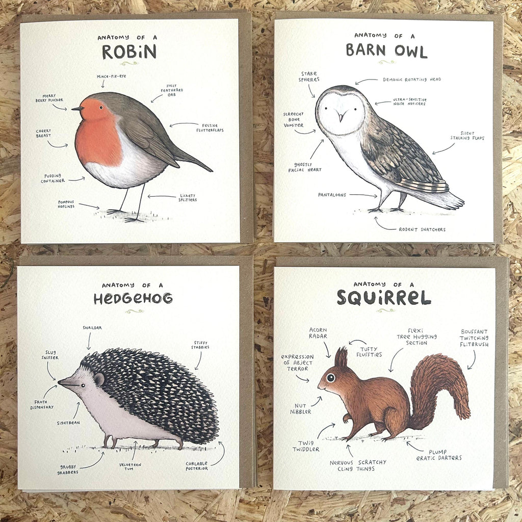 Anatomy Cards by Sophie Corrigan