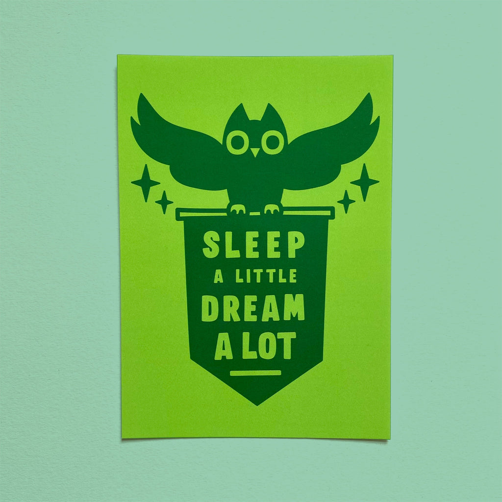 Sleep a Little, Dream a lot Owl Postcard